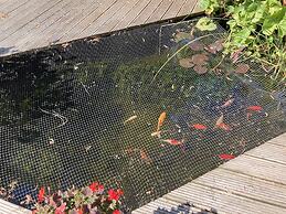 Unique Quirky Studio in Spreyton