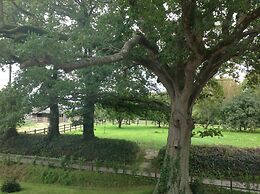 Unique Quirky Studio in Spreyton