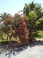 Villa Serenity House of an Elegant Immaculate Luxury Authentic Relaxin