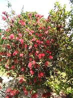 Villa Serenity House of an Elegant Immaculate Luxury Authentic Relaxin