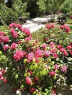 Villa Serenity House of an Elegant Immaculate Luxury Authentic Relaxin