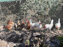 Cottage With 3 Bedrooms, 2 Bathrooms, Heated Solar Pool, Sauna, Jacuzz