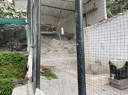 Cottage With 2 Bedroom, 2 Bathrooms, Heated Solar Pool, Sauna, Jacuzzi