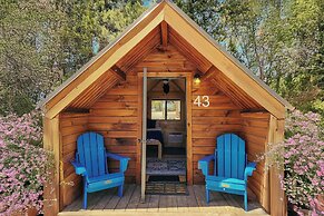 Blue Buffalo Resort