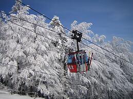 Pohorje Village Wellbeing Resort – Forest Apartments Videc