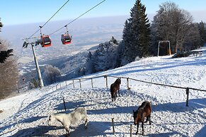 Pohorje Village Wellbeing Resort – Forest Apartments Videc