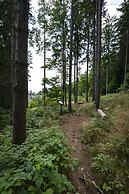 Pohorje Village Wellbeing Resort – Forest Apartments Videc