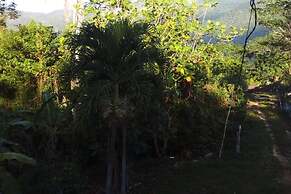 Lovely 1-bed Cottage in St Catherine Jamaica