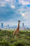 The Studio Nairobi 5 Luxury