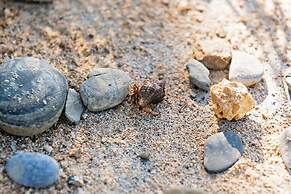 Pine House in Ginoza