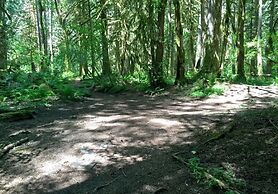 69sl - Upscale - Hot Tub - Wi-fi - Bbq - Sleeps 8 4 Bedroom Cabin by R