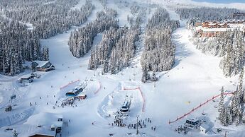 Coyote Creek - Large Ski In/Ski Out Chalet with Amazing Views & Privat