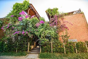 Haka Maori Jericoacoara