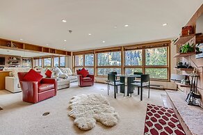 1-44 W Meadow Dr. 7 Meadow Vail Place