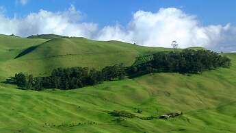 Hale Mahina B401