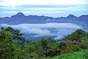 Bomboli Cloud Forest