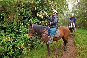 Bomboli Cloud Forest