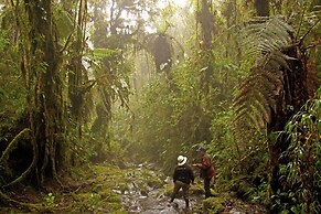 Bomboli Cloud Forest