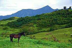 Bomboli Cloud Forest