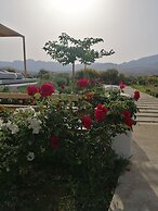 Xerolithos Natural Living