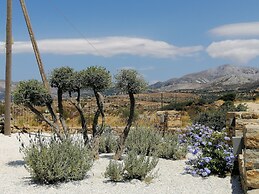 Xerolithos Natural Living