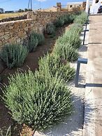 Xerolithos Natural Living