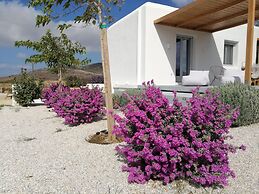 Xerolithos Natural Living