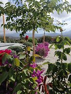 Xerolithos Natural Living