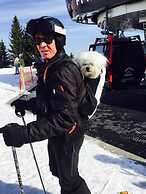 Alp-cottage for 15 Person Mountains of Salzburg