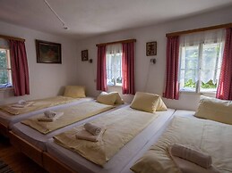 Alp-cottage for 15 Person Mountains of Salzburg