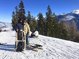 Alp-cottage for 15 Person Mountains of Salzburg