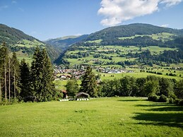 Alp-cottage for 15 Person Mountains of Salzburg