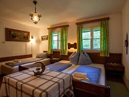 Alp-cottage for 15 Person Mountains of Salzburg