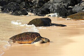 Kaanapali Shores 613
