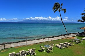 Kaleialoha 210