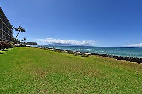 Kaleialoha 210