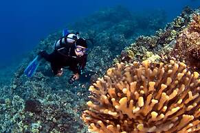 Kahana Reef 117