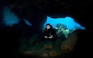 Sands of Kahana 354