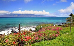 Polynesian Shores 111