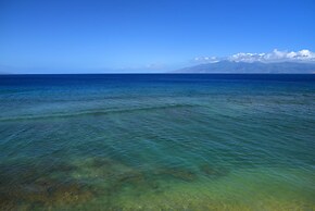 Maui Kai 308