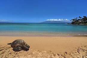 Napili Shores I270