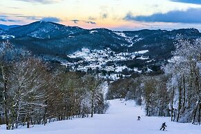 Handsome Condo, View in Sugar Mountain, Heated Pool & Jacuzzi by RedAw