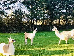 The Snuggly Sheep Shepherd Hut Campview Farm Stay