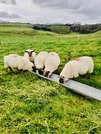 The Snuggly Sheep Shepherd Hut Campview Farm Stay