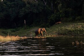 Wild Glamping Gal Oya