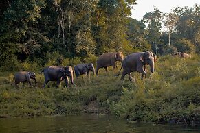 Wild Glamping Gal Oya