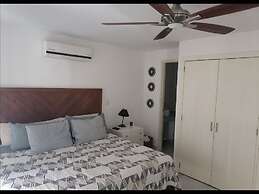 Aria Ocean 159 Flamingos