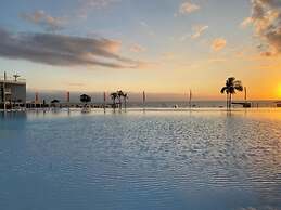 Aria Ocean 159 Flamingos