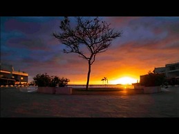 Aria Ocean 159 Flamingos