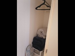 Aria Ocean 159 Flamingos